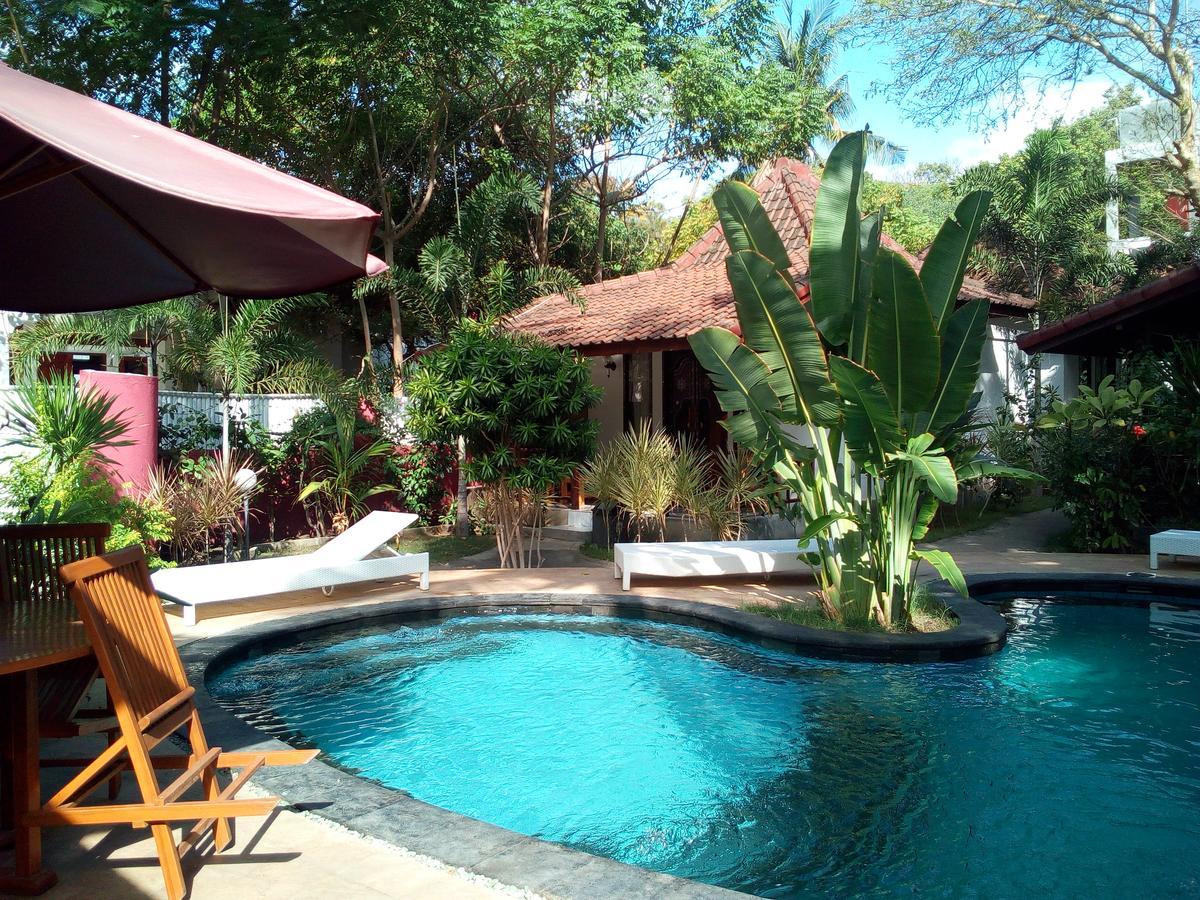 Banana Leaf 3*